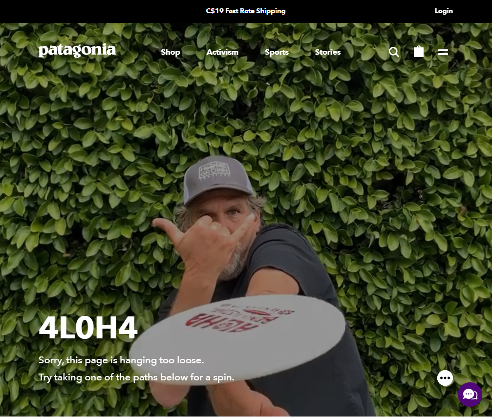 Patagonia 404 Page Example