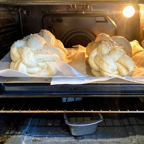 Challah dough in oven 