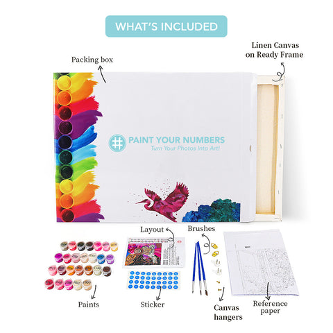 What's In Your Paint Your Numbers Package?