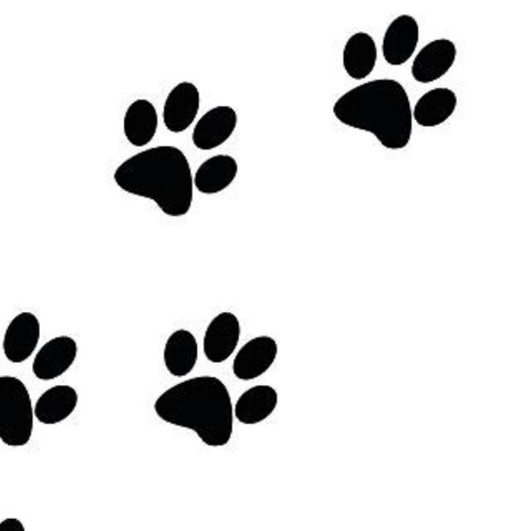 Keep their paw prints