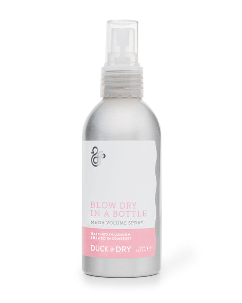 Blow Dry In A Bottle 