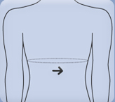 Back Measurement