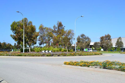 A photo featuring Dinsan Nursery's quality wholesale plants at Chifley Business Park, Melbourne.