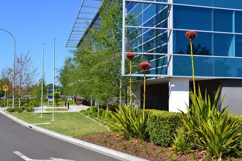 A photo of the gardens at Simplot Australia featuring Dinsan Nursery's quality wholesale plants.