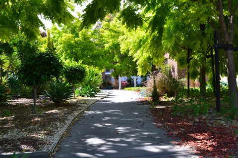 The gardens in the Kingston Heath estate showcasing Dinsan Nursery's quality wholesale plants.