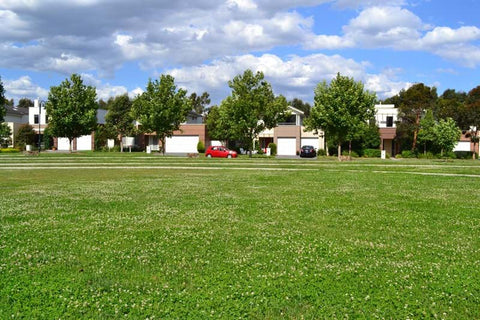 The gardens in the Kingston Heath estate showcasing Dinsan Nursery's quality wholesale plants.