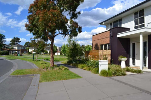 The gardens in the Kingston Heath estate showcasing Dinsan Nursery's quality wholesale plants.