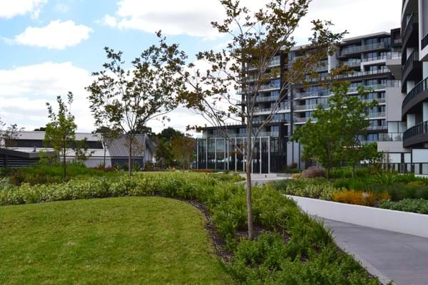 A photo of the gardens at Tooronga Village showcasing Dinsan Nursery's quality wholesale plants. Tooronga Village is a previous project of Dinsan Nursery's.