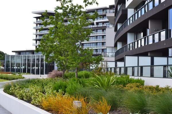 A photo of the gardens at Tooronga Village showcasing Dinsan Nursery's quality wholesale plants. Tooronga Village is a previous project of Dinsan Nursery's.