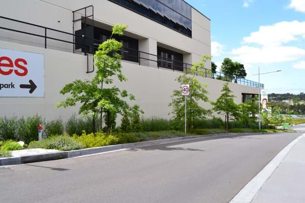 A photo of the gardens at Tooronga Village showcasing Dinsan Nursery's quality wholesale plants. Tooronga Village is a previous project of Dinsan Nursery's.