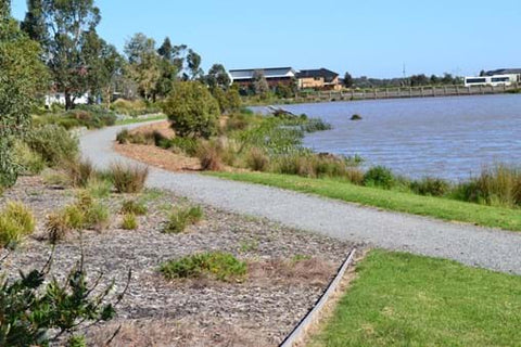 The gardens at Waterways Estate showcasing Dinsan Nursery's quality wholesale plants. A project of Dinsan Nursery's.