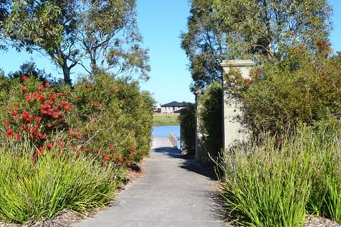 The gardens at Waterways Estate showcasing Dinsan Nursery's quality wholesale plants. A project of Dinsan Nursery's.