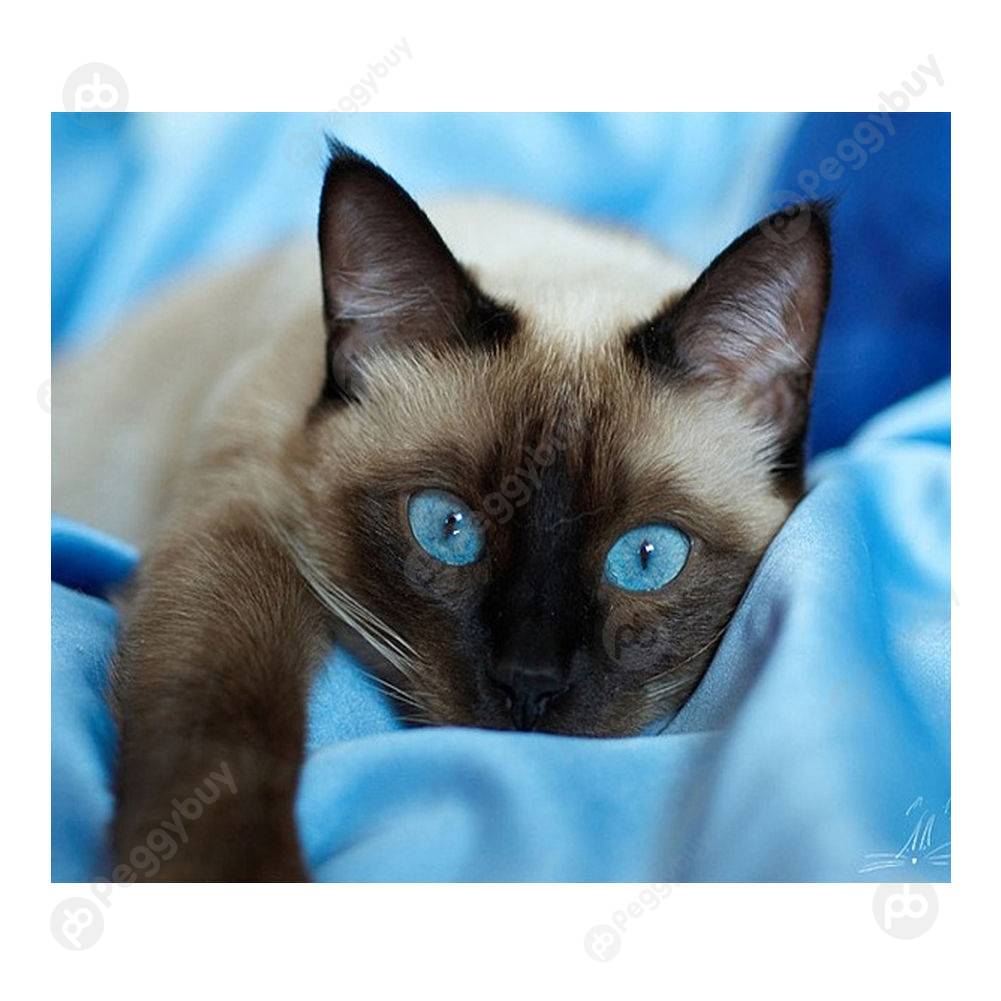 

40*30CM Round Drill Diamond Painting-Blue Eye Cat, Default title, 501 Original