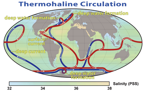 Thermohaline Circulation