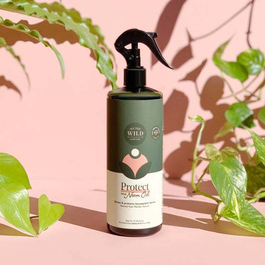 Leaf Wellness Spray – LV PLANT COLLECTIVE