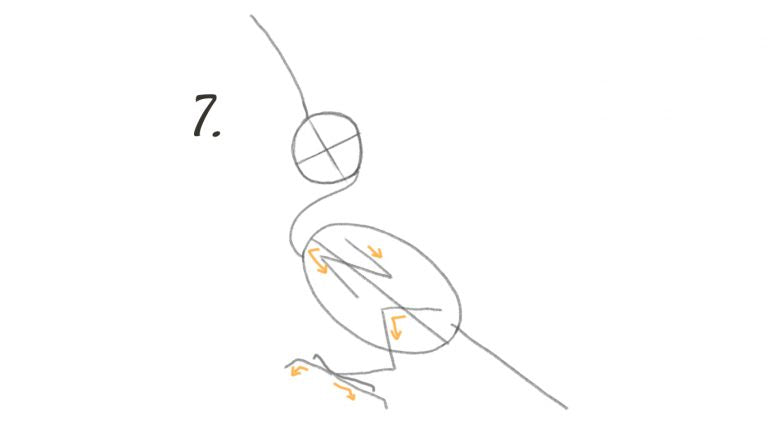 Indicate the angle of the wings and feet in your drawing.