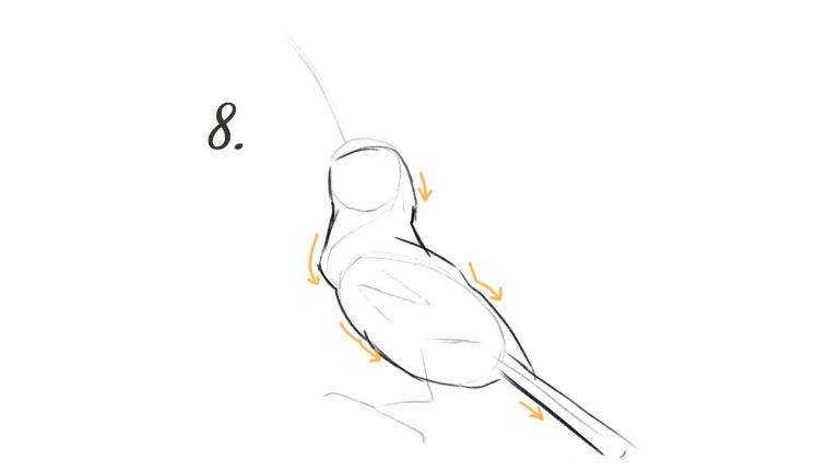 Create the form of the bird, using the basic structure.