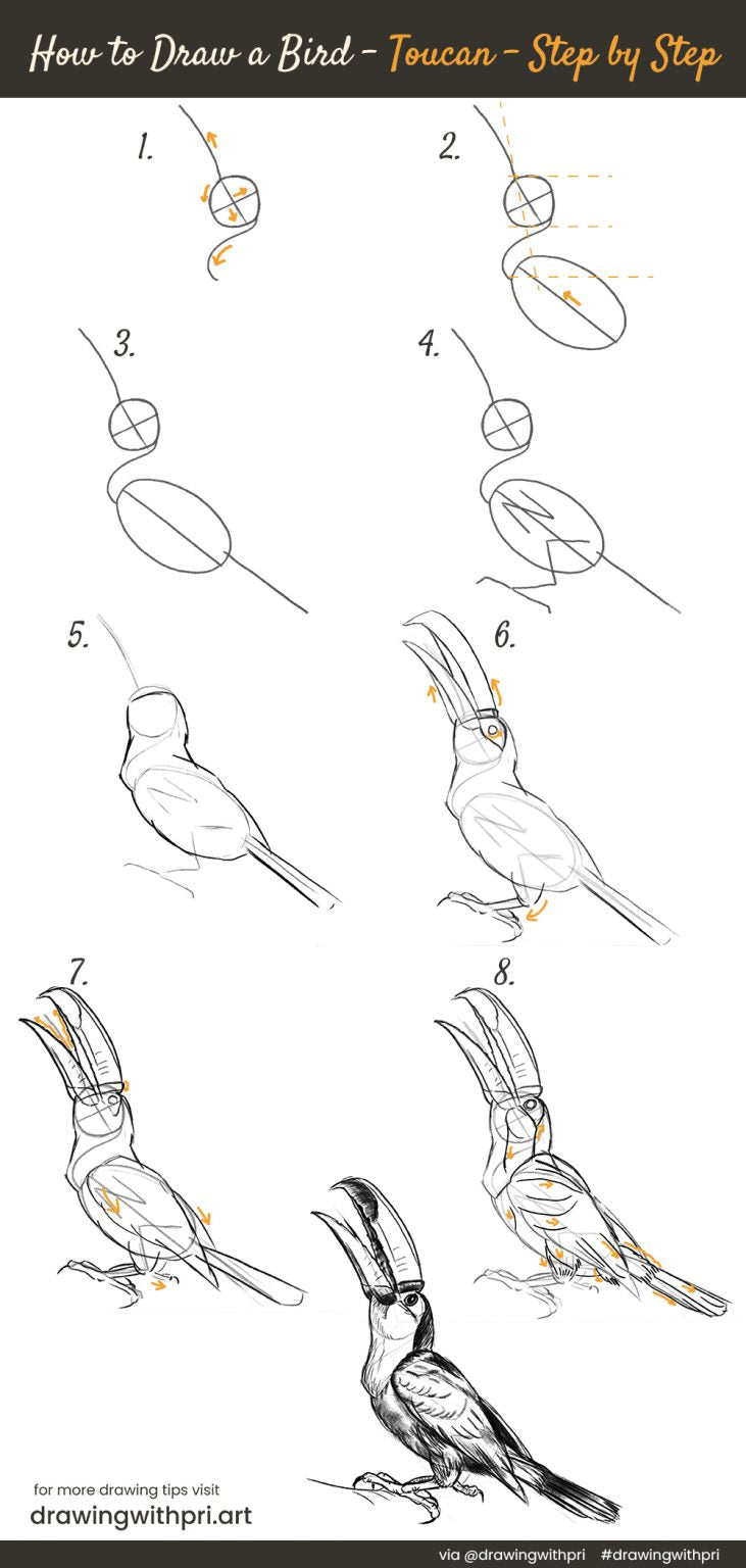 how to draw a bird