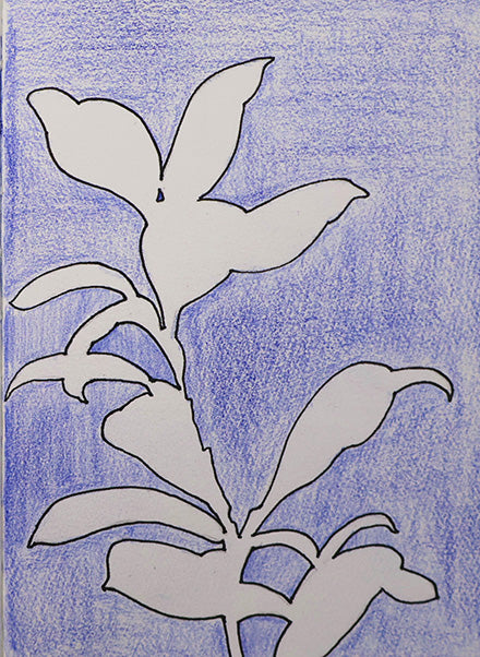 Negative space drawing of leaves