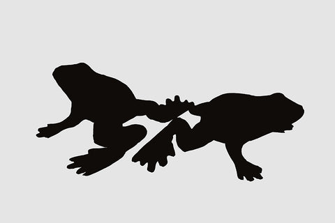 negative space of frogs