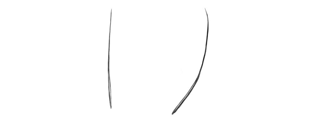 How to draw a feather. Draw the Rachis