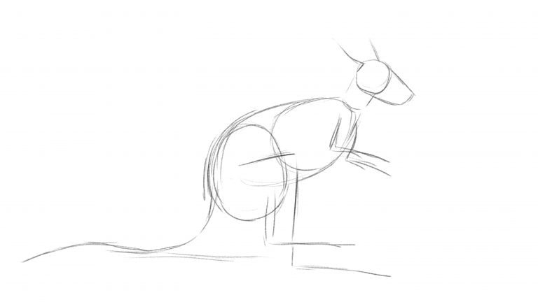 How to draw a kangaroo - Step 1