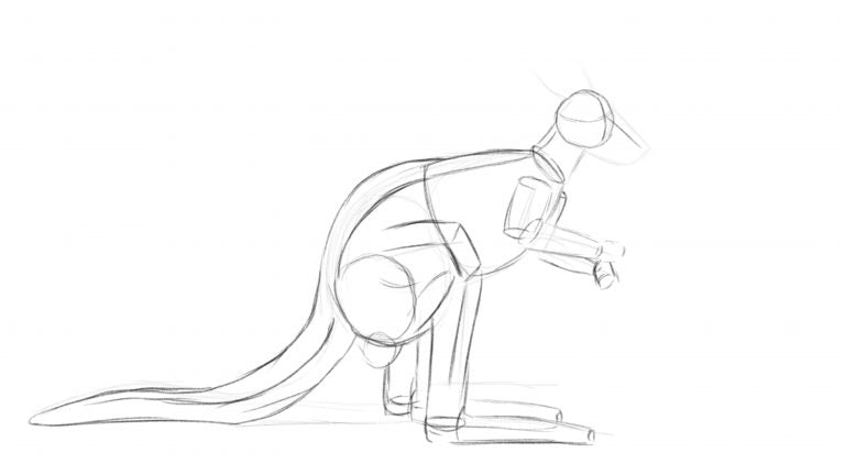 How to draw a kangaroo - Step 2