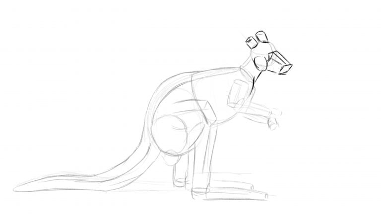 How to draw a kangaroo - Step 3