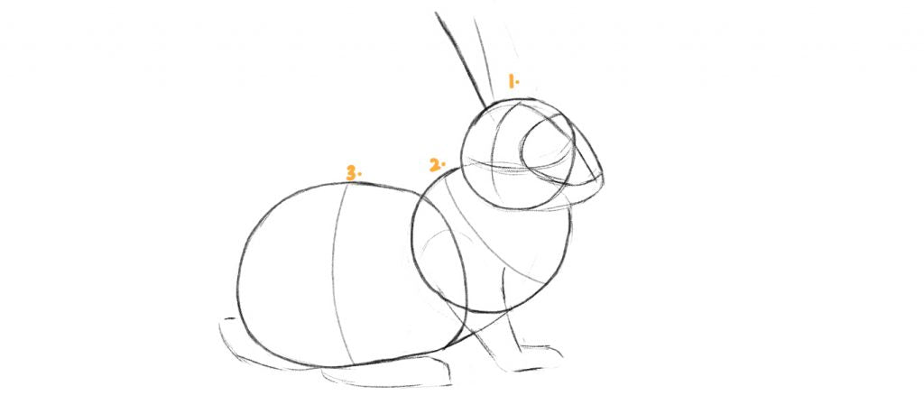 Drawing a rabbit body step one, drawing the chest, head and hips.