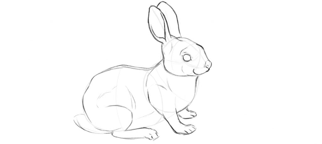 how to draw a bunny step by step for beginners