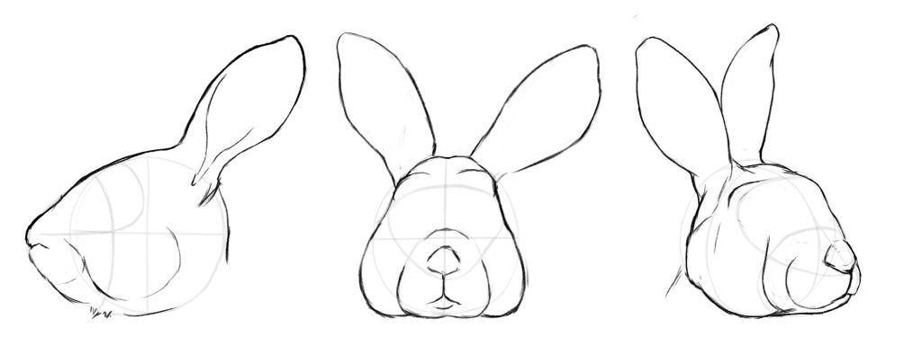 drawing a rabbit face. Drawing the outlines to the face.