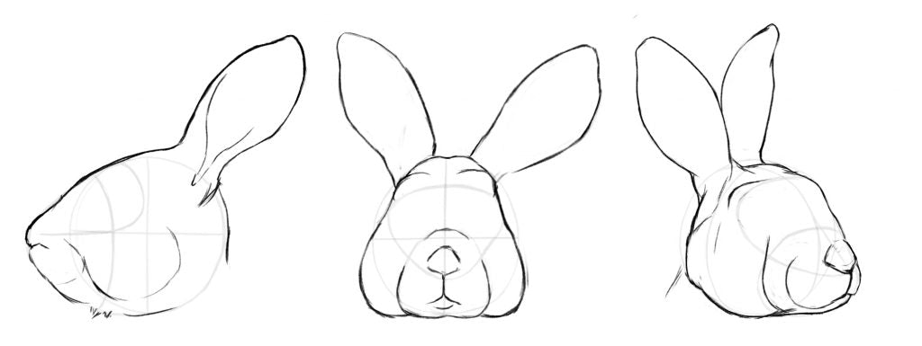 how to draw a realistic bunny step by step