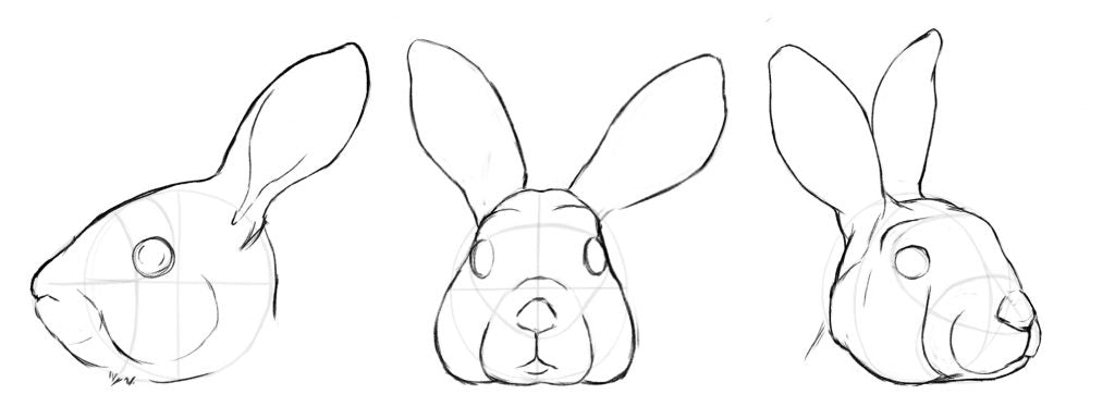 Drawing a rabbit face. Adding the spheres for the eyes.