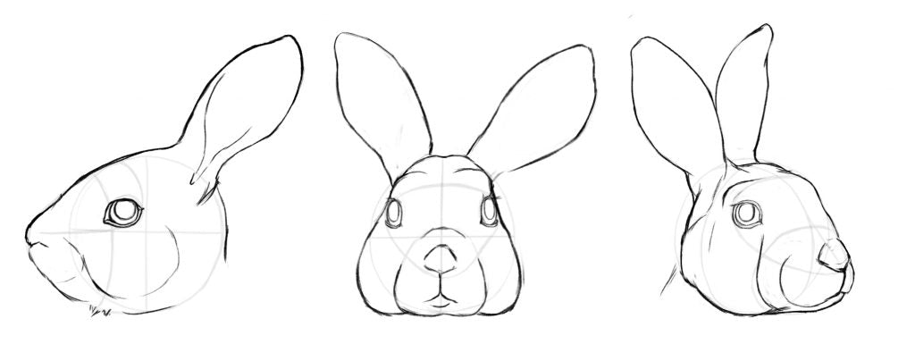 Drawing a rabbit face, adding the eyelids.