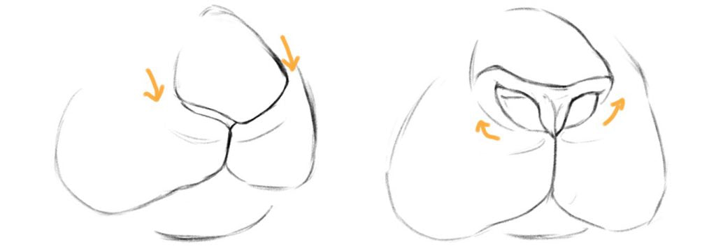 How to draw a rabbit mouth and nose.