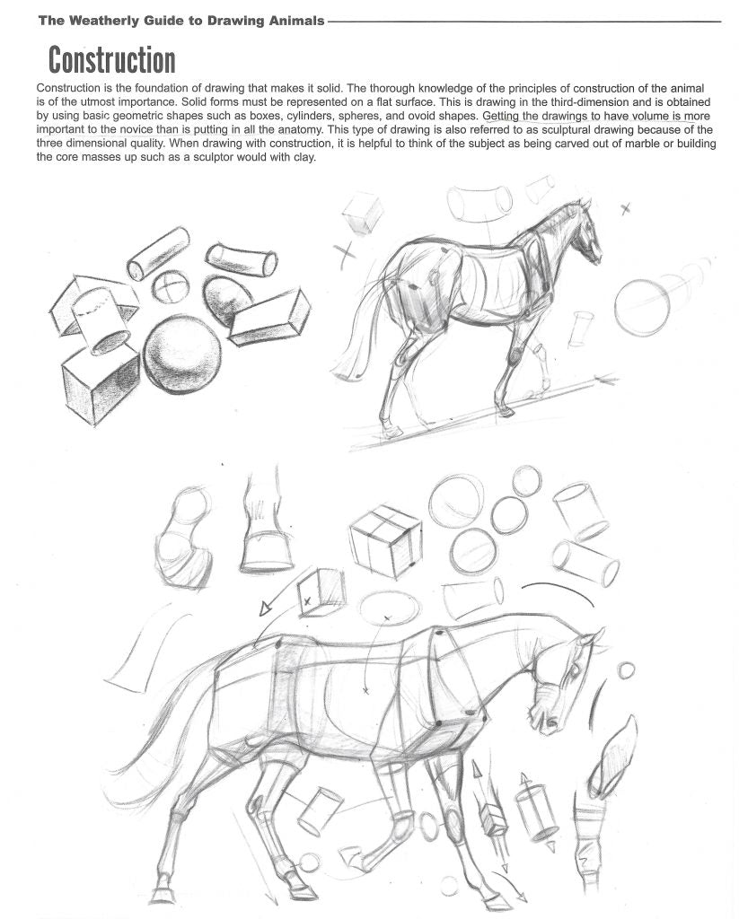Draw Animals using construction method.