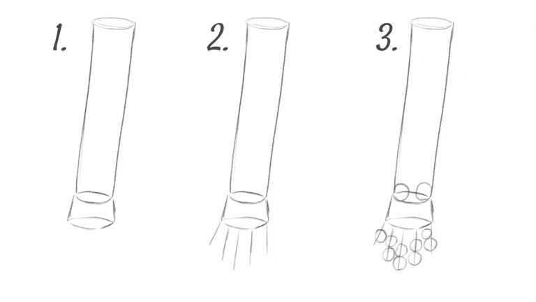 Use cylinders, lines and circles to draw the kangaroo hands.