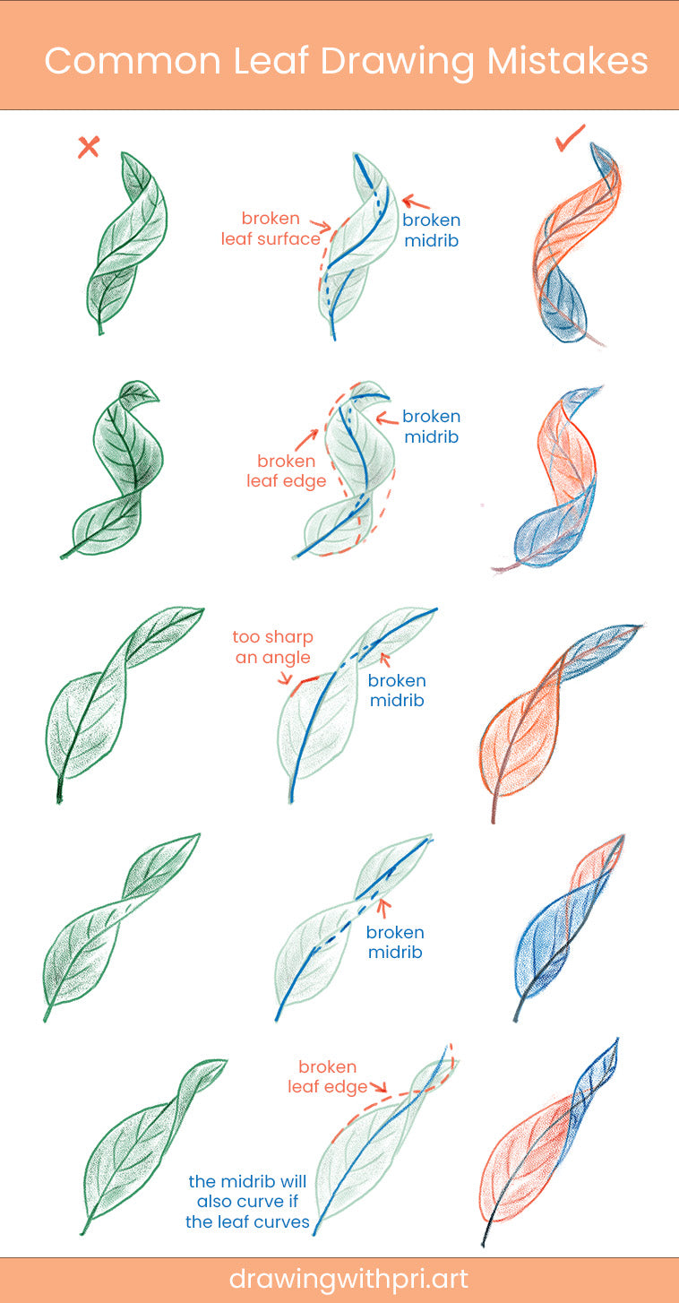 Common mistakes made drawing leaves