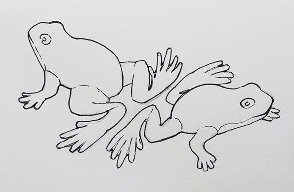 Frogs positive drawing
