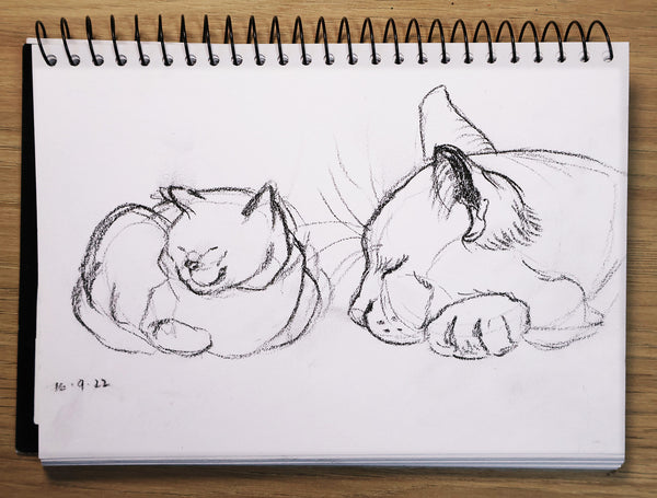 Sketching pets