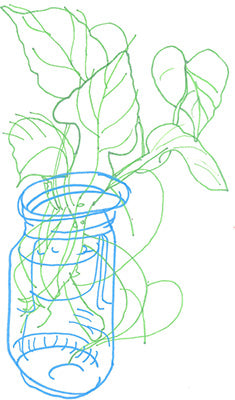 Blind contour drawing of a plant