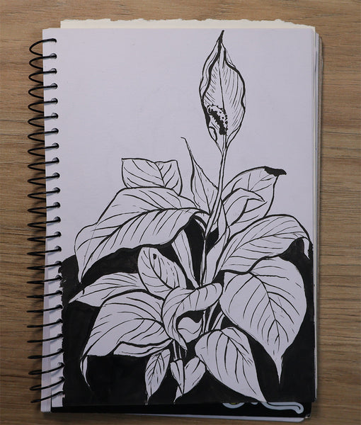 Plant drawing