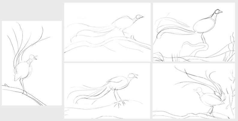 Thumbnail sketches of a bird