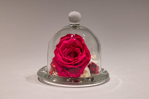 Crystal Dome | Diamond Rose