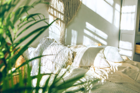 Cosy white cushions behind a green palm leaf in the foreground