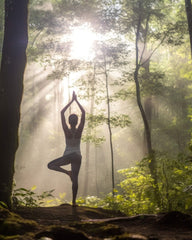 A lady does a yoga pose in the forest with sun rays shining through the branches