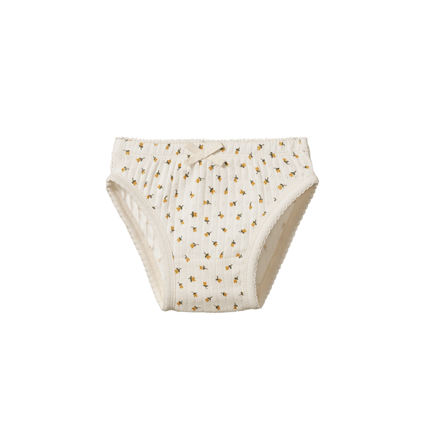 https://cdn.shopify.com/s/files/1/0446/2673/files/Little-Gatherer-Nature-Baby-Knickers-Pointelle-Tulip-1_600x.png?v=1708236969