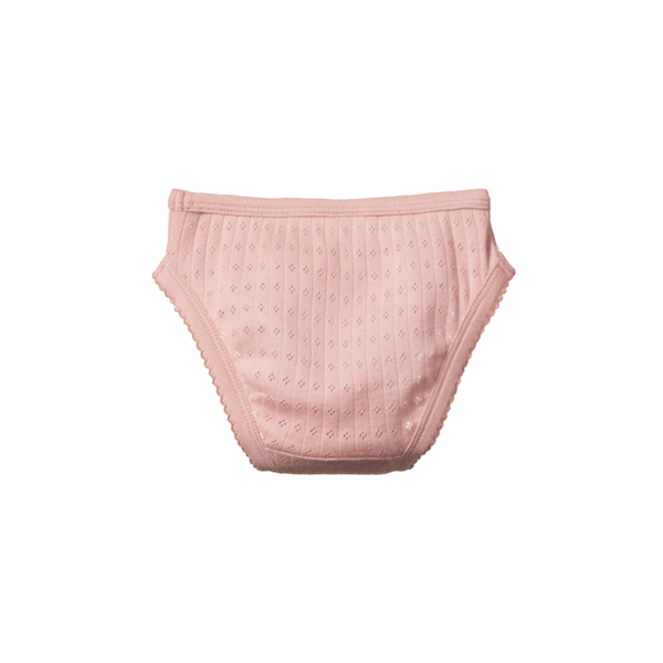 Buy Pointelle Knickers Online in New Zealand