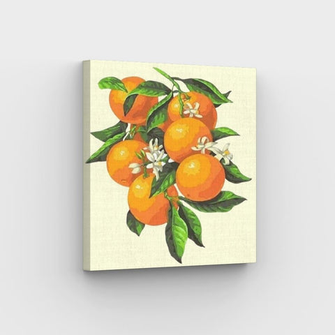 mini oranges - paint by numbers kit for beginners