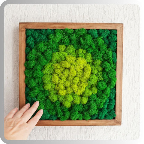 moss wall decoration